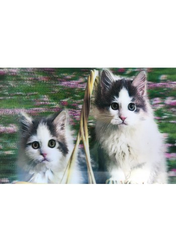 5d Elmas Boyama Sevimli Kediler İkili Kedi Resmi Tablosu 40x60 Cm